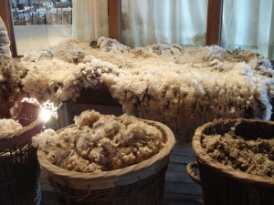 Fleece in different stages of preparation.