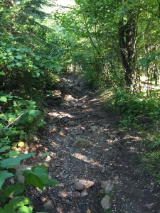 Part of the trail where the dirt got washed away by the flood. 