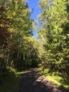 Looking up the paved path.