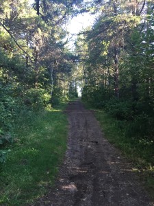 The snowmobile trail at the trail head.