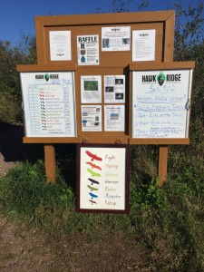 One of the info boards with all the hawk watching info.